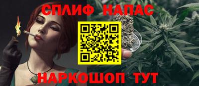 скорость Дубна