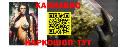 скорость Дубна