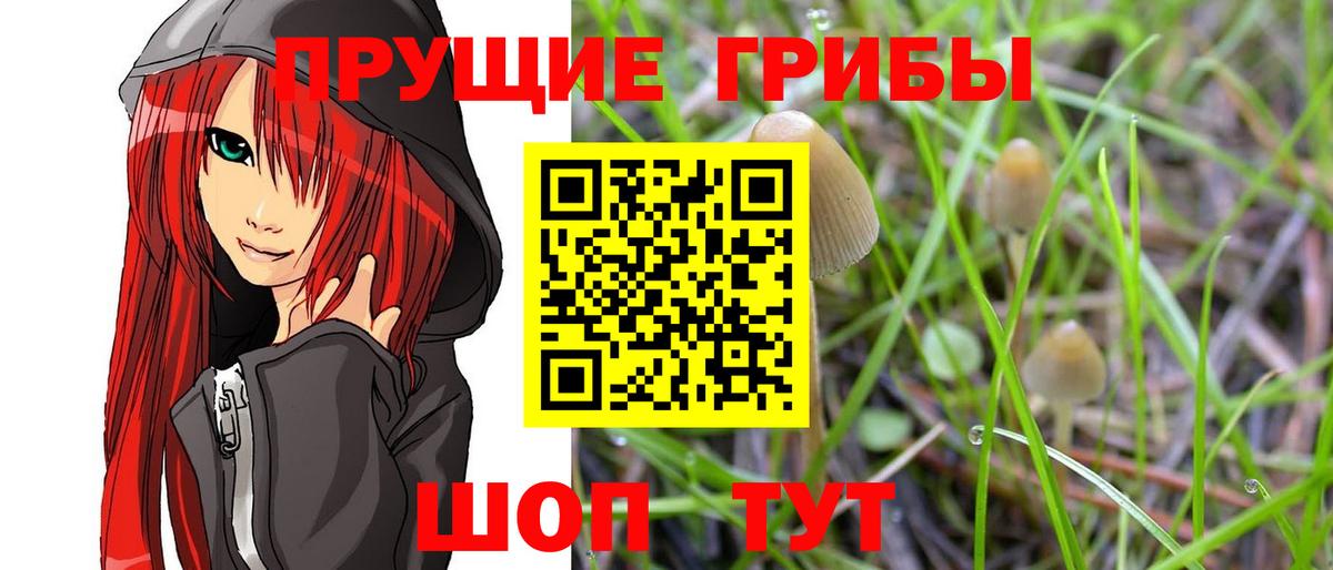 Лысьва  Галлюциногенные грибы прущие грибы  Вход с VPN 