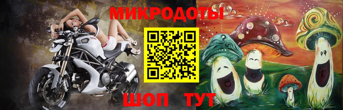 Галлюциногенные грибы Psilocybine cubensis Лысьва